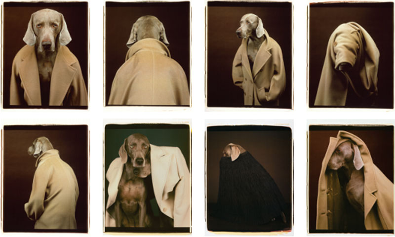 Max Mara's Dogs in Coats Returns! - Daily Front Row