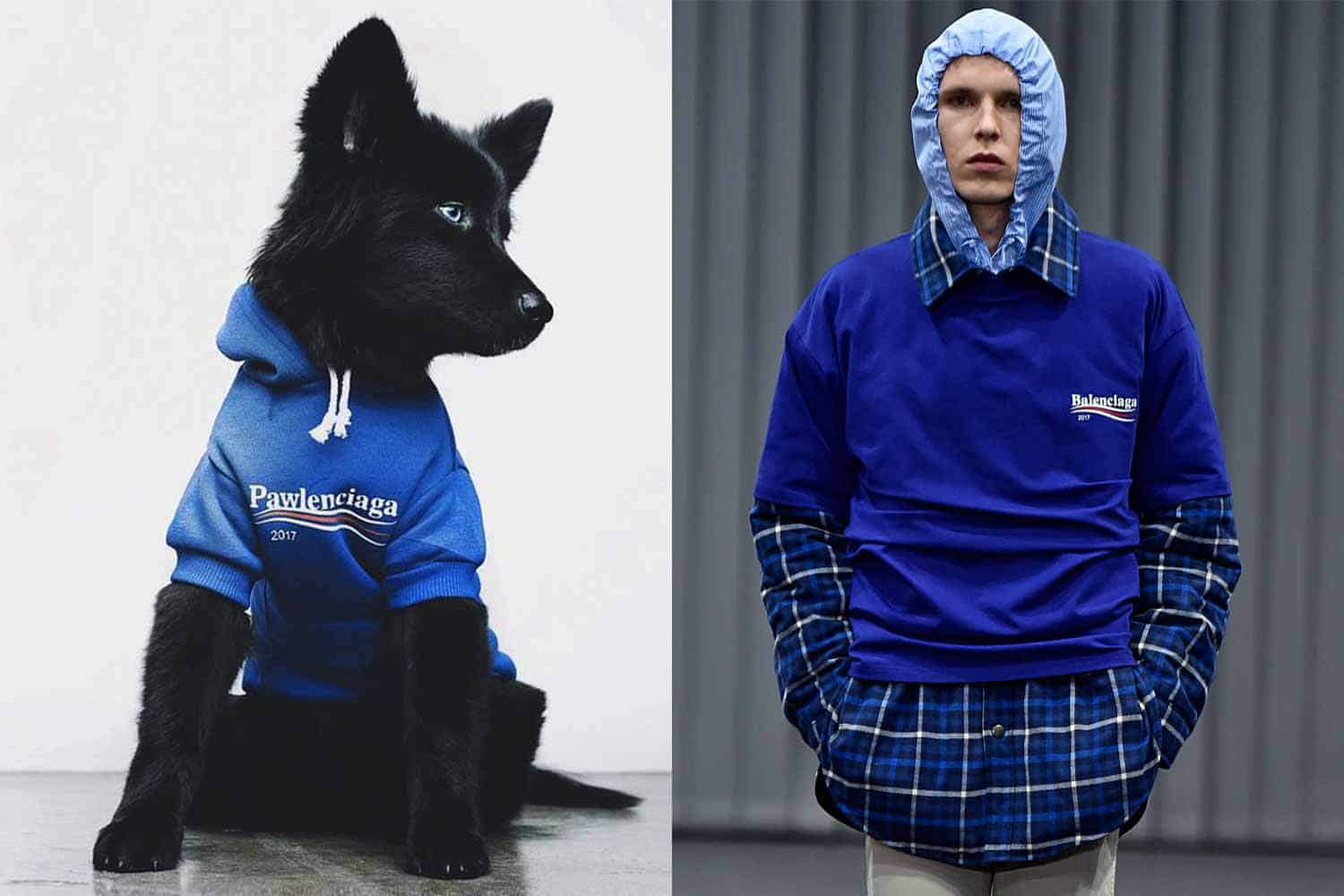 Balenciaga Takes Legal Action Against Pet Company, Yoox's New Clothing Line