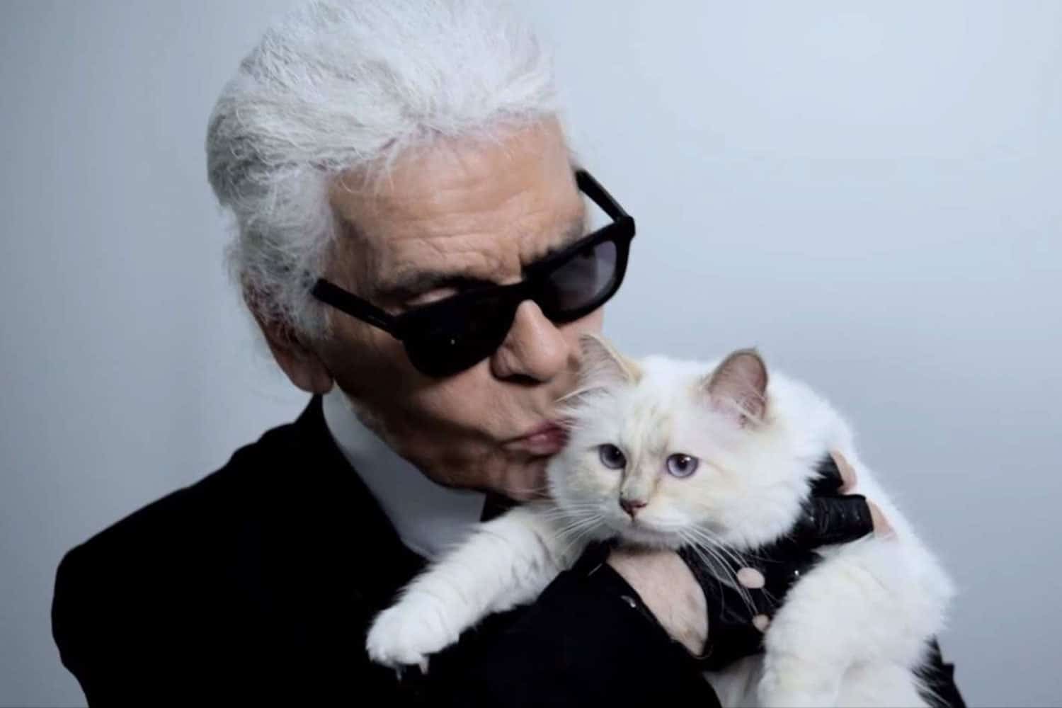 TV tonight: did Karl Lagerfeld really leave his fortune to his pet