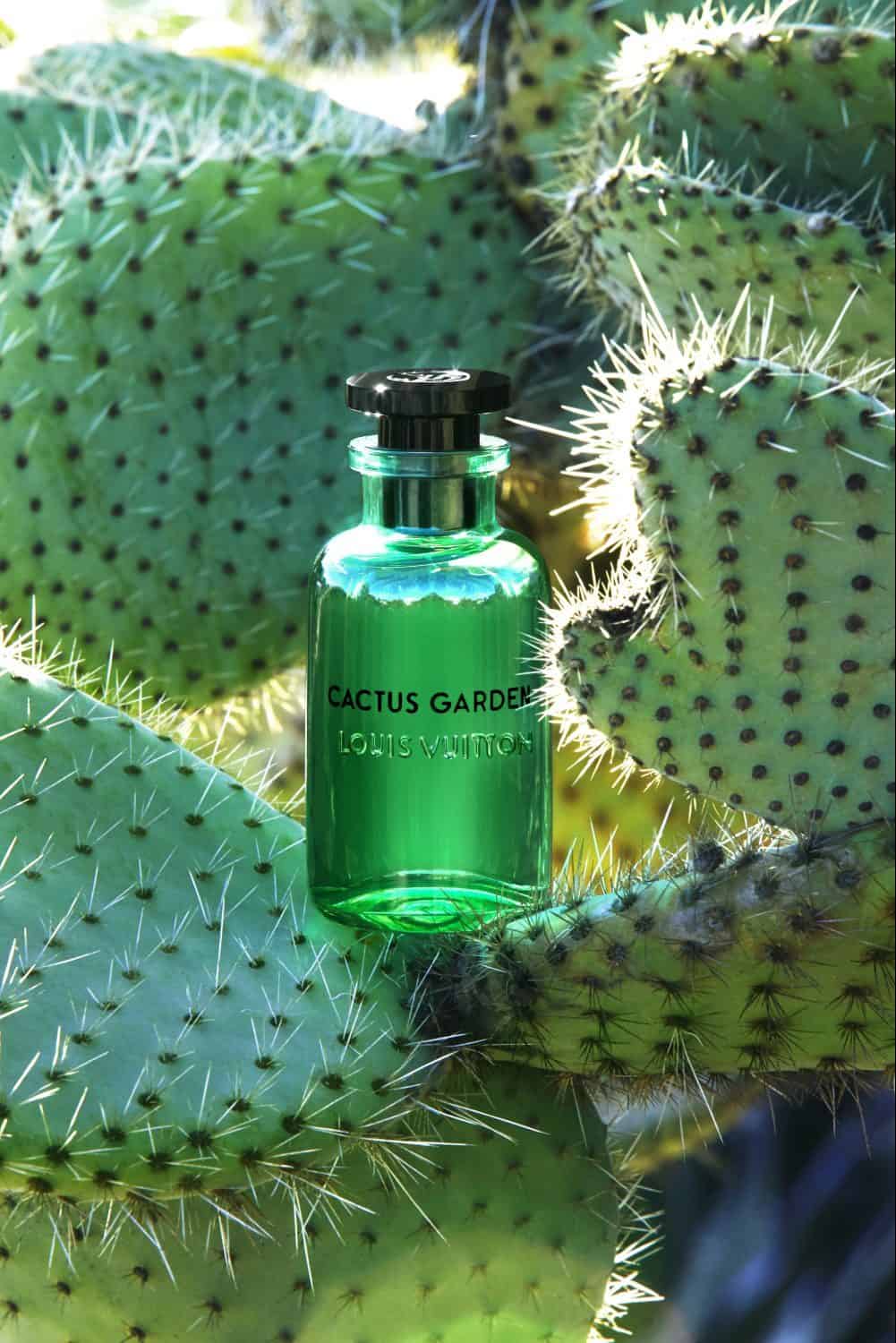 Sun Song, Cactus Garden and Afternoon Swim, three new fragrance