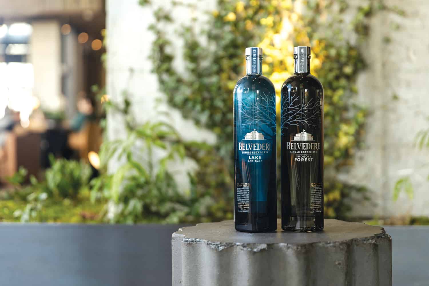 Belvedere Tasting Notes – DRINKS ENTHUSIAST