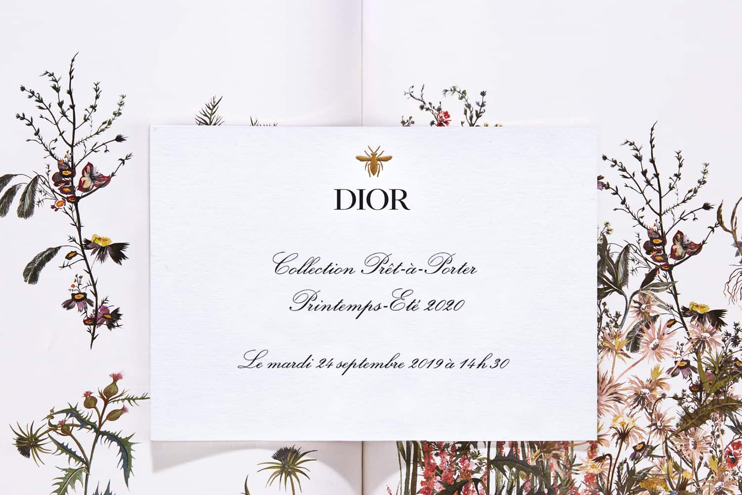 Your exclusive invitation to the live fashion show  Dior Email Archive