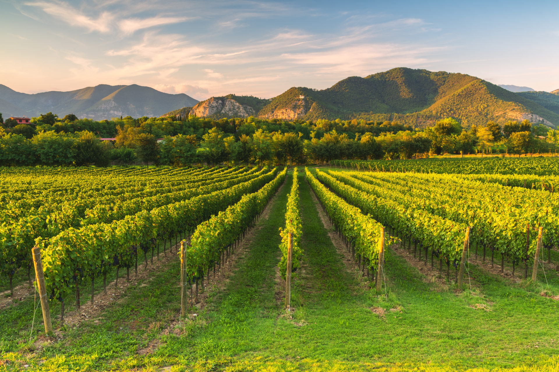 Inside Charlotte Bickley's Trip to Italy's Best Kept Secret, Franciacorta 
