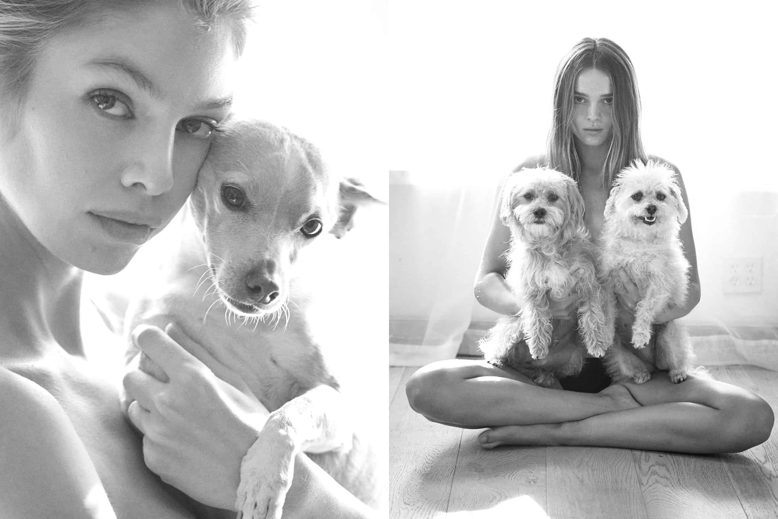 Stella Maxwell & Charlotte Lawrence Launch New Luxe Pet Brand Peropero
