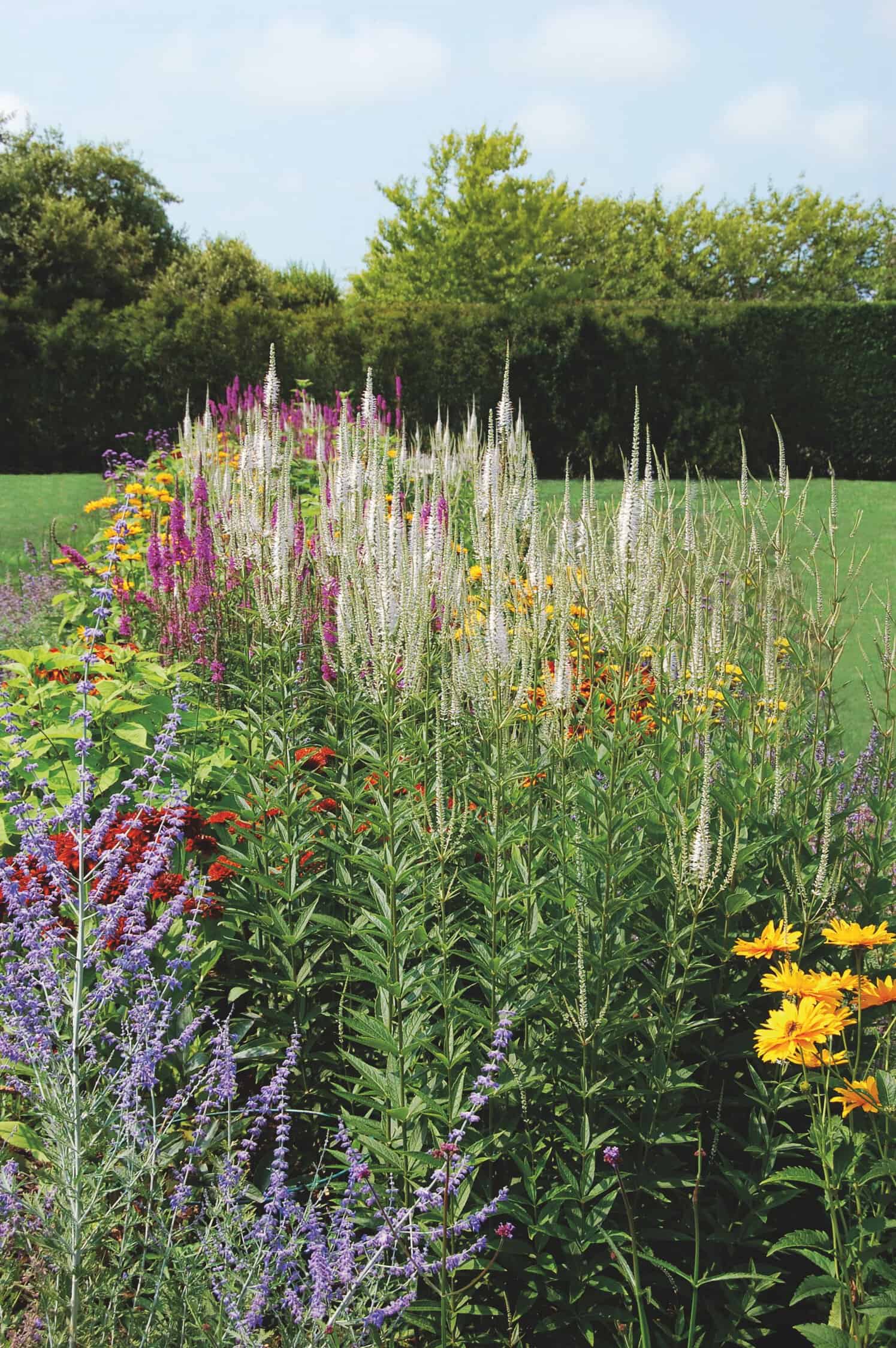 Unlimited Earth Care, Frederico Acevedo, landscape, gardens, The Hamptons, The Daily Summer