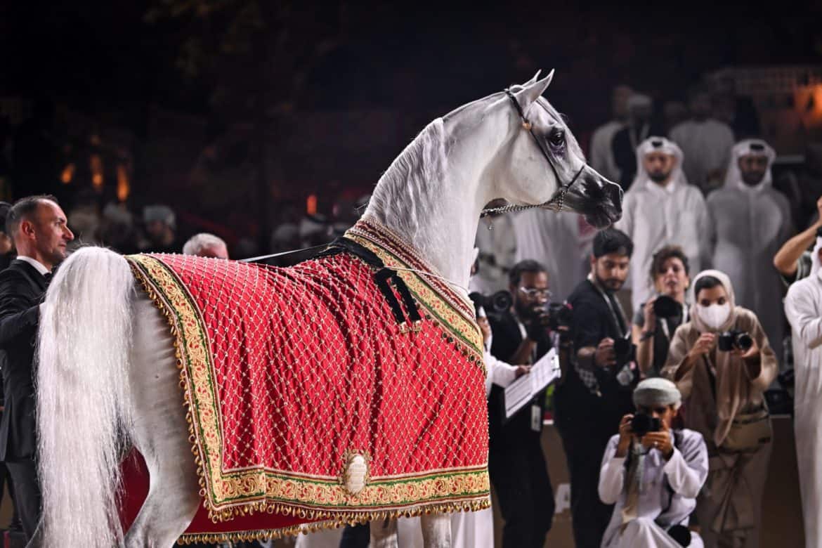Miami, Miami Beach, Major Food Group, horses, racing, Qatar Airways, Global Champions Arabians Tour
