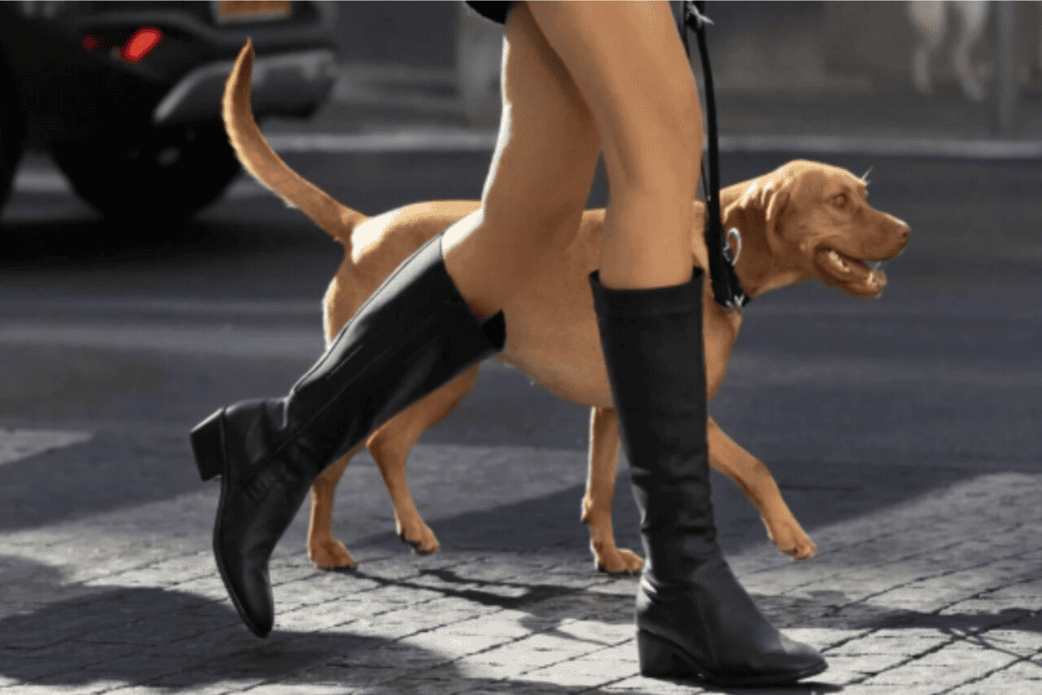 How Naot Is Bringing Science-Backed Comfort to Boots this Season